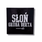 Singiel Słoń Gruba Berta CD_front